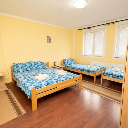 Sobe Joksimovic Vrnjačka Banja