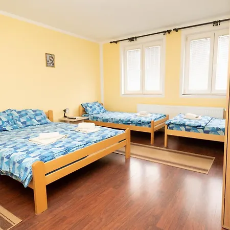 Sobe Joksimovic Pensjonat *
