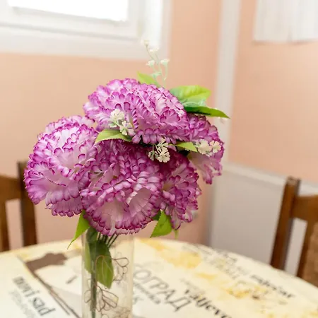 ゲストハウス Sobe Joksimovic *